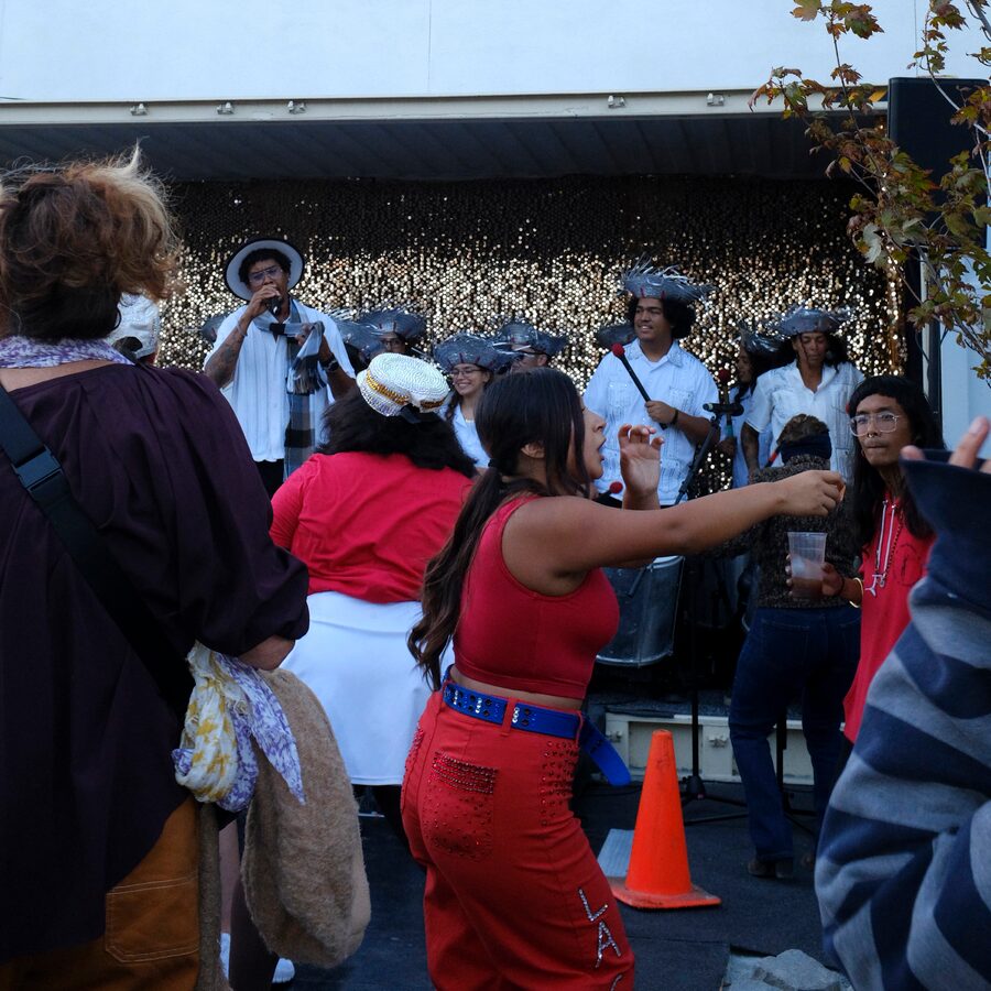 A live outdoor performance with a dancing crowd